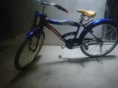 Super Fan bicycle 0