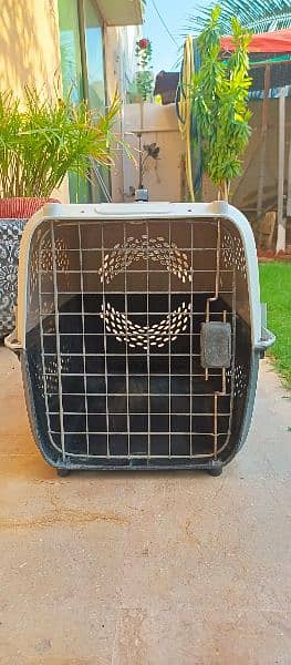 dog and cat travelling/transport cage medium size 4