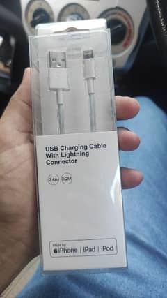 Miniso Japanese Iphone charging cable 0