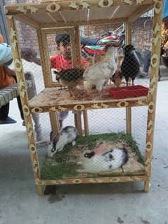 2 RABBIT 10 GOLDEN CHICKS WITH DOUBLE CAGE