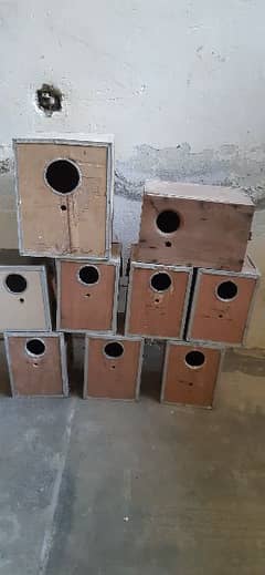 LOVEBIRDS BOX