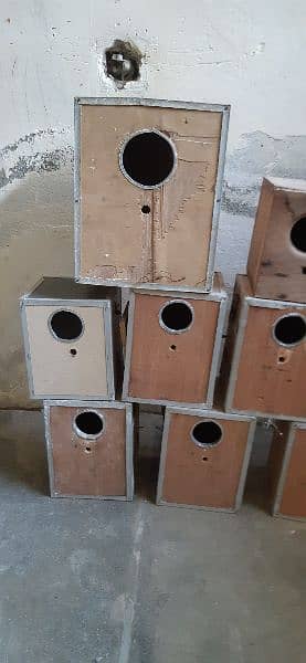 LOVEBIRDS BOX 1
