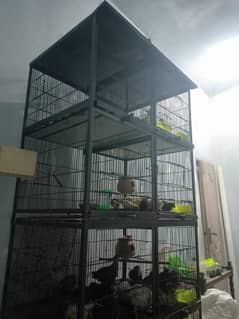 birds cages/ cage / iron cage