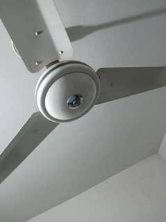 Ceiling Fan 56", Qty: 02