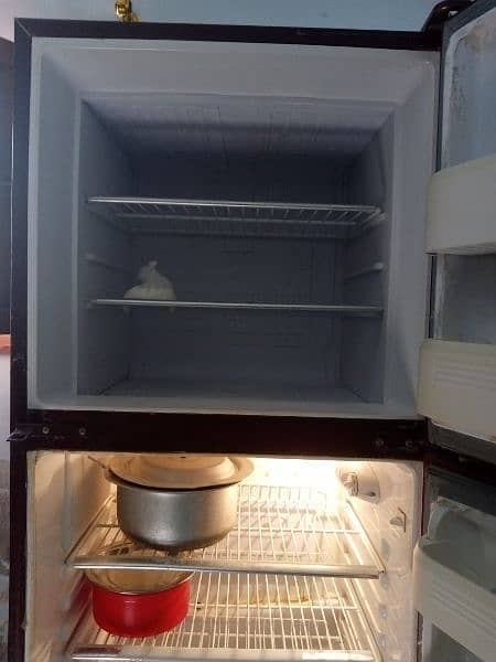 orient fridge 1
