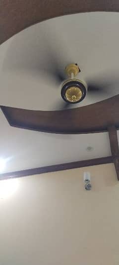 fancy ceiling fan