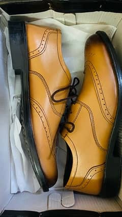 Brand new Semi Brogue Oxford shoes for sale