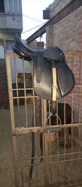 Horse Saddle 0