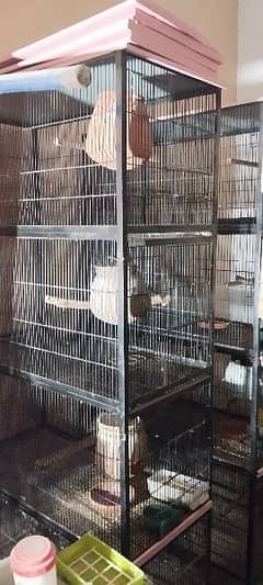 Birds Large Cage