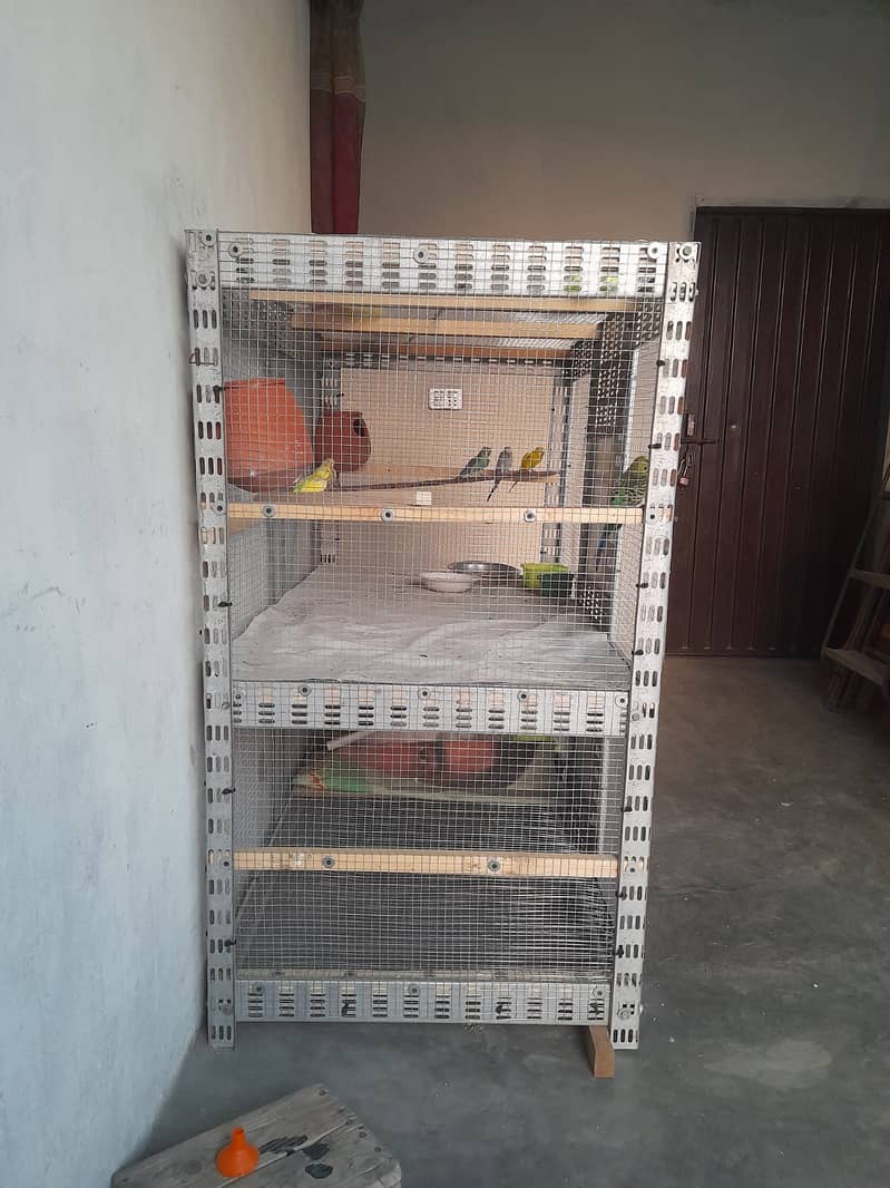 Birds Cage 2