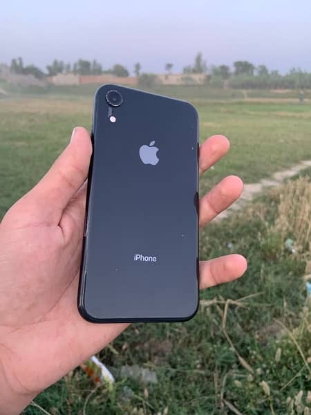 iPhone XR non pta all ok waterproof 10 by 10 1