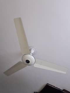 Ceiling Fan Royal Deluxe white color