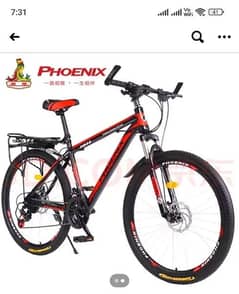 Mountain Bicycle Phoenix 0