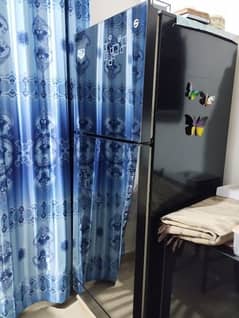 PEL Glass Door Refrigerator