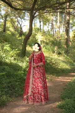 Bridal Dress (Mohsin and Sons) 0