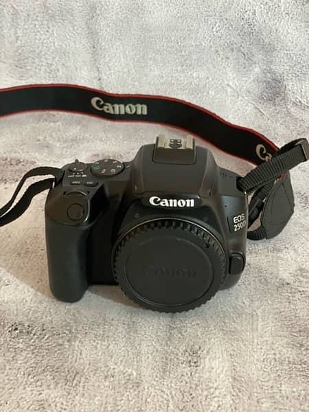 canon 250D with 18-55 and canon 50mm stm 1.8 2