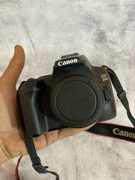 canon 250D with 18-55 and canon 50mm stm 1.8 13