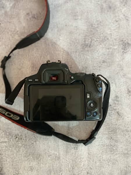 canon 250D with 18-55 and canon 50mm stm 1.8 14