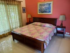 DHA Phase 8 ( EX Park View) 3 Bed Rooms Furnished Separate Gate Near to Airport 0