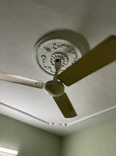 Ceiling Fan used in best condition