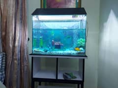 fish aquarium for sale with stand and all accessories 0
