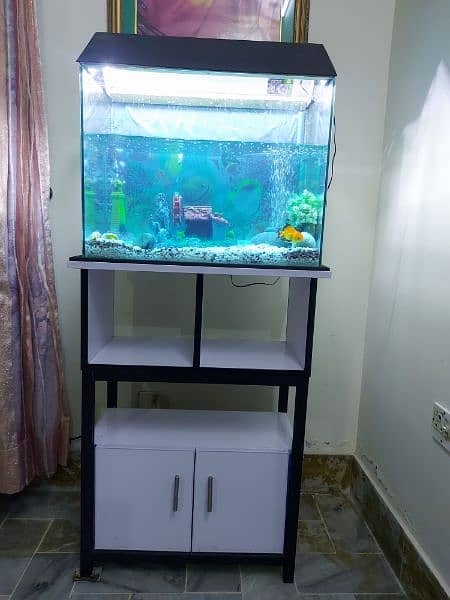 fish aquarium for sale with stand and all accessories 2