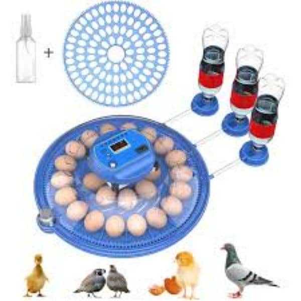 Incubator egg hatching machine China  انڈوں سے چوزے نکالنے والی مشین 0