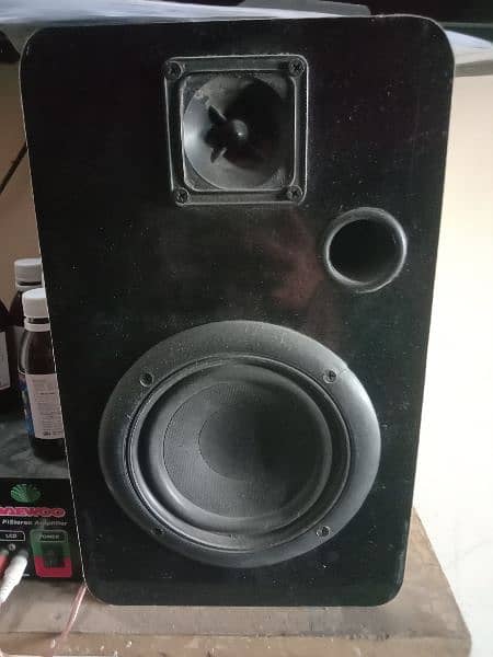 speakers with amplifier 2