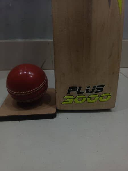 Hard Ball Cricket Kit With Original CA 3000 bat 1