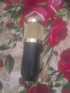 condenser Microphone model name bm 800