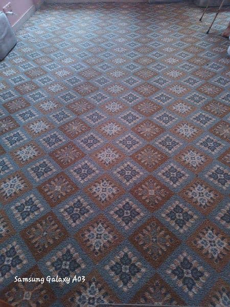 carpet 0