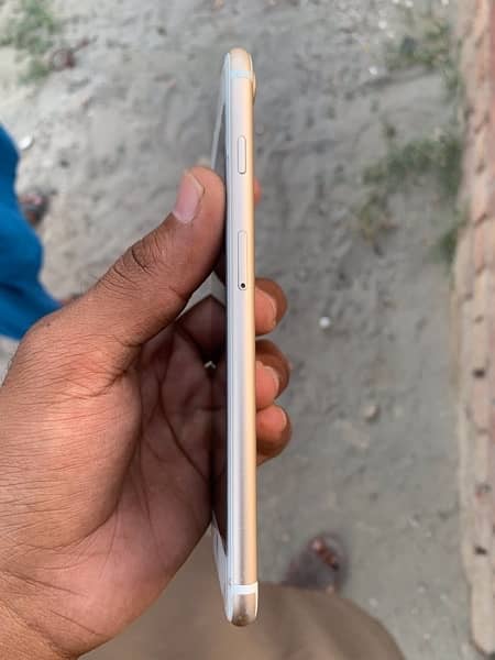 IPhone 7plus PTA Approved 32gb 6