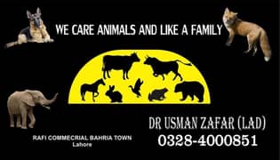 Cat Dog got and all animals  treatment and home visits are available .