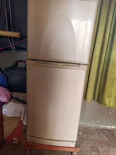 Dawolanc  company small fridge