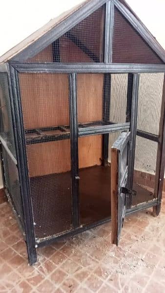bird Cage for Sale 3