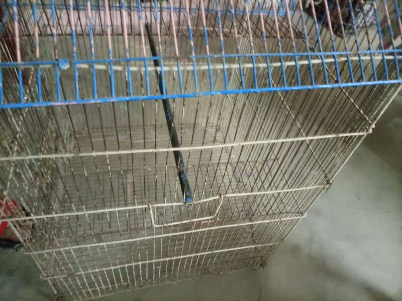 Fancy cage for sale good condition 1