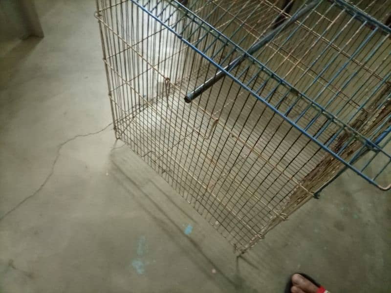 Fancy cage for sale good condition 2