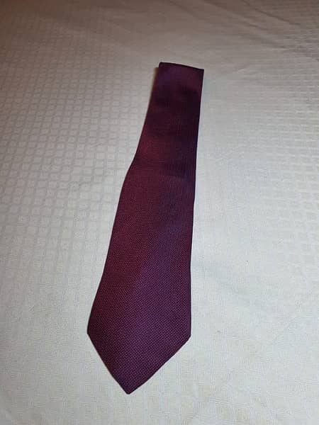 Branded Ties for Men 7