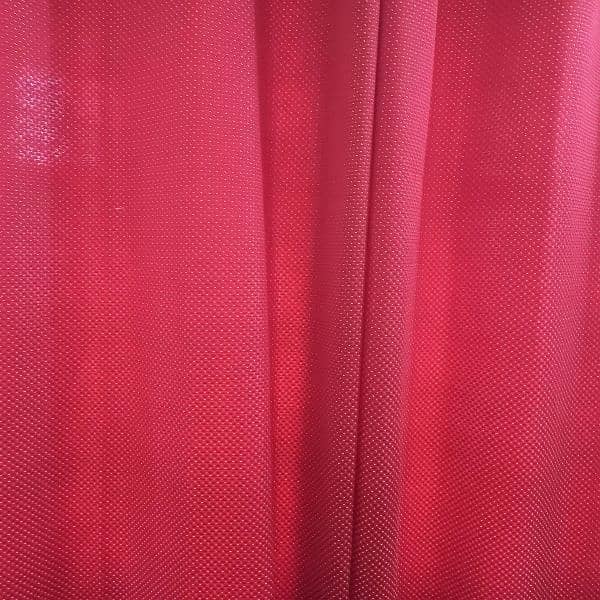 Pair of Curtains 2