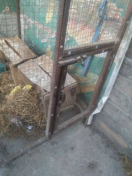 cage for sale or exchange 8