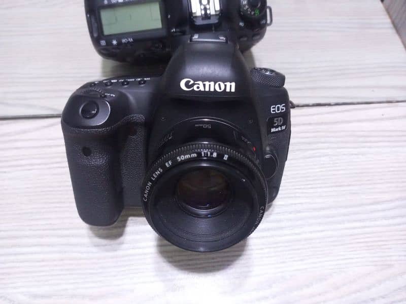 Canon 5D mark IV 1