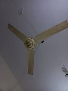 javeed fan copper winding