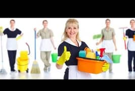 we provide domestic staff by company