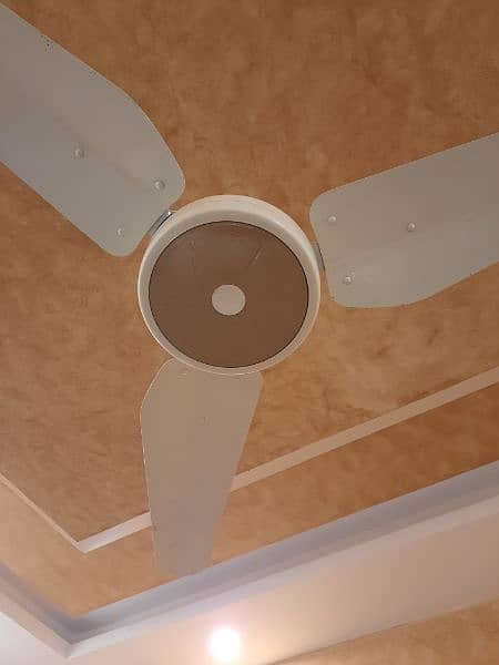 ceiling fan 2