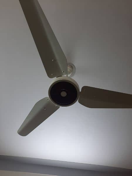 ceiling fan 3