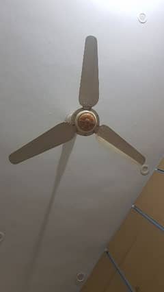 Lahore Fan 56" For Sale New Condition total 2 fan available