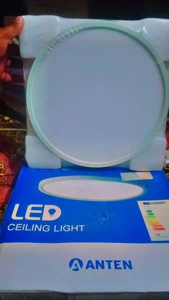 LED Ceiling Light 2