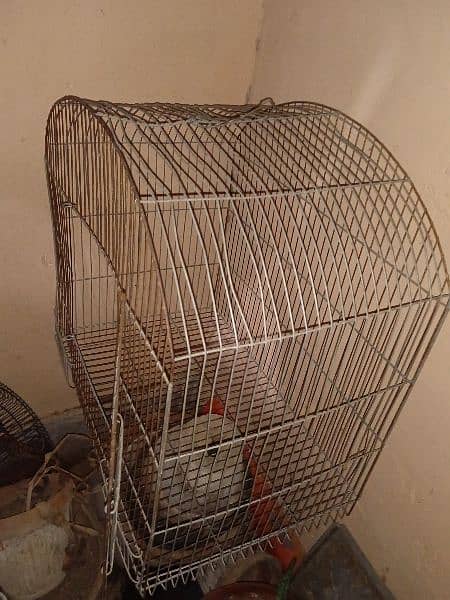 cage for parrots, pigeon,etc 2