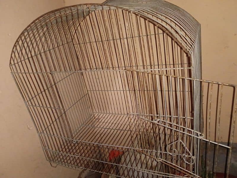 cage for parrots, pigeon,etc 3