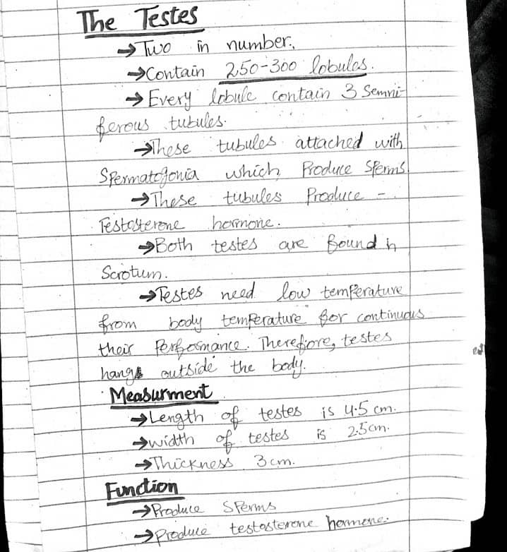 Handwritten assignment work 13